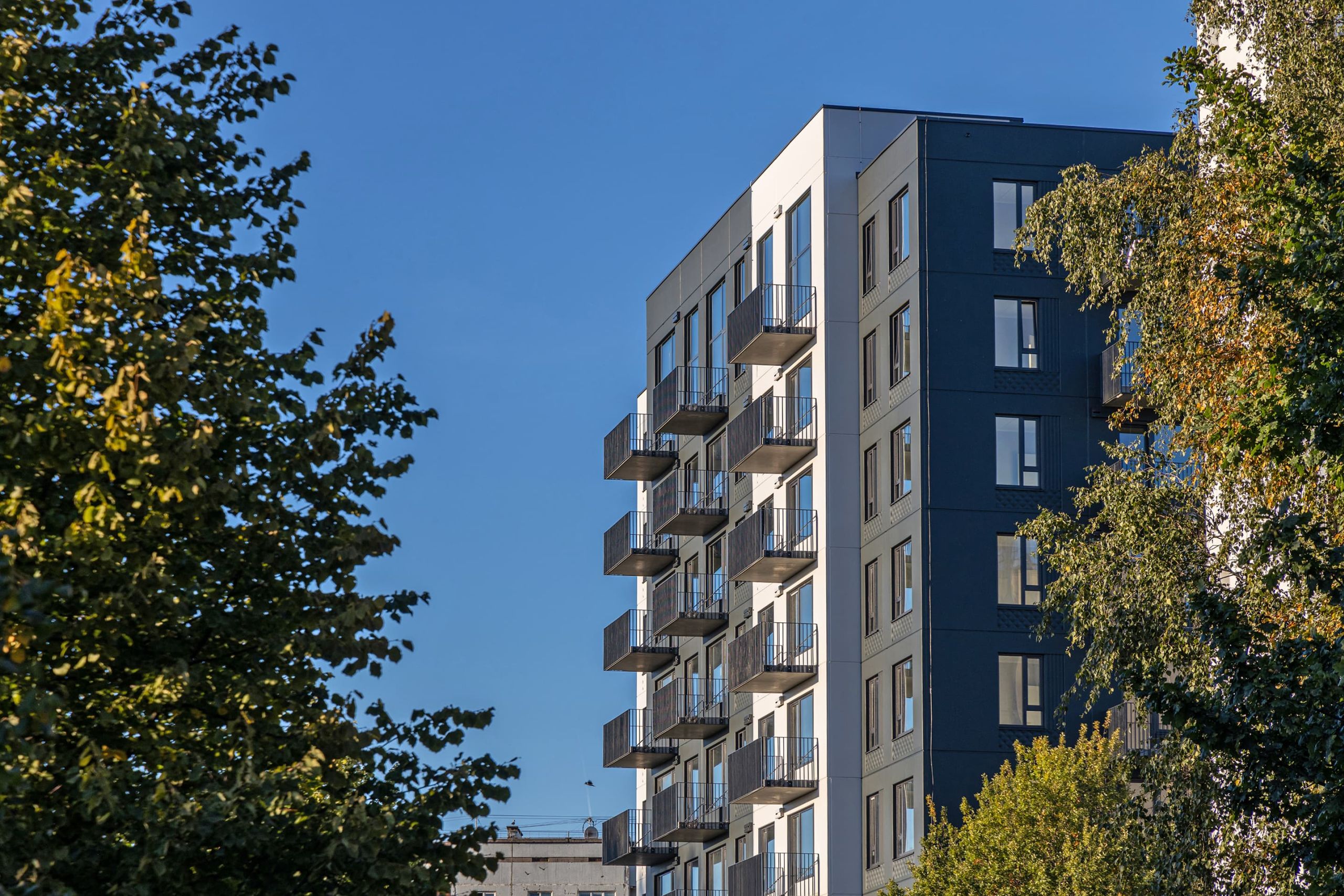 Dzīvojamās ēkas – Pillar Mežciema mājas