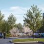 “Pillar Contractor” is building new and energy-efficient apartments in Dreiliņi